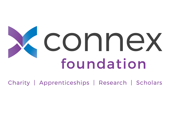 Committees Propel Connex Foundation to the Next Level