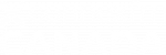 Connex Canada Logo - White